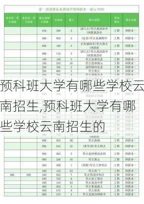 预科班大学有哪些学校云南招生,预科班大学有哪些学校云南招生的