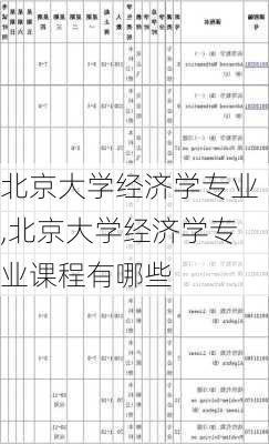 北京大学经济学专业,北京大学经济学专业课程有哪些