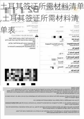 土耳其签证所需材料清单,土耳其签证所需材料清单表