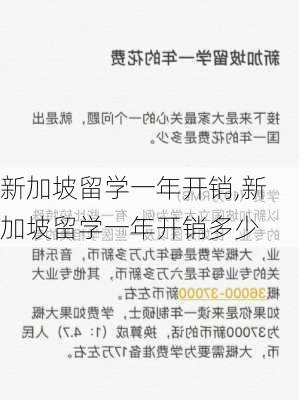 新加坡留学一年开销,新加坡留学一年开销多少