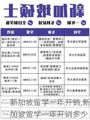 新加坡留学一年开销,新加坡留学一年开销多少