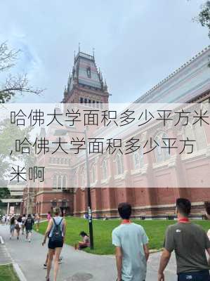 哈佛大学面积多少平方米,哈佛大学面积多少平方米啊