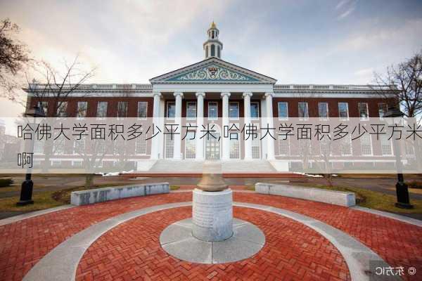 哈佛大学面积多少平方米,哈佛大学面积多少平方米啊