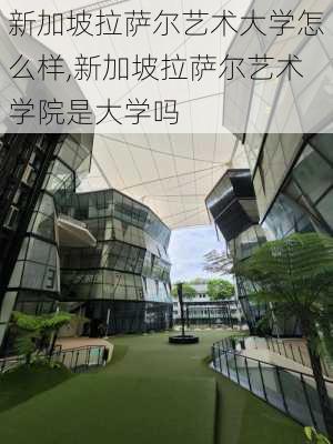 新加坡拉萨尔艺术大学怎么样,新加坡拉萨尔艺术学院是大学吗