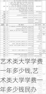 艺术类大学学费一年多少钱,艺术类大学学费一年多少钱民办