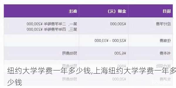 纽约大学学费一年多少钱,上海纽约大学学费一年多少钱