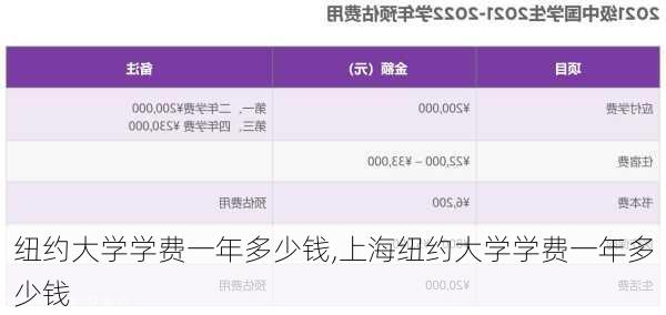 纽约大学学费一年多少钱,上海纽约大学学费一年多少钱