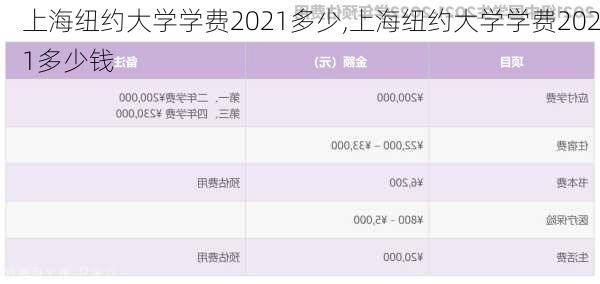 上海纽约大学学费2021多少,上海纽约大学学费2021多少钱