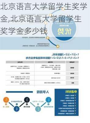 北京语言大学留学生奖学金,北京语言大学留学生奖学金多少钱