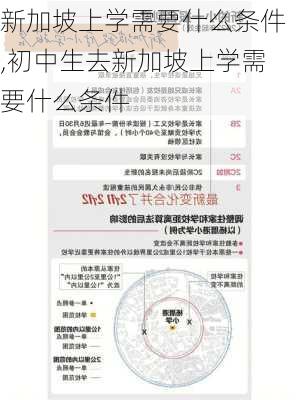 新加坡上学需要什么条件,初中生去新加坡上学需要什么条件