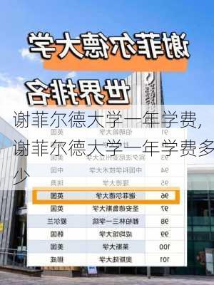 谢菲尔德大学一年学费,谢菲尔德大学一年学费多少