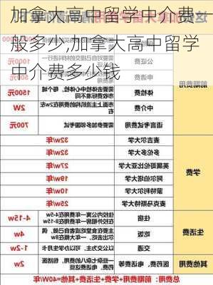 加拿大高中留学中介费一般多少,加拿大高中留学中介费多少钱