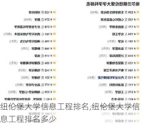 纽伦堡大学信息工程排名,纽伦堡大学信息工程排名多少