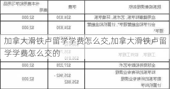 加拿大滑铁卢留学学费怎么交,加拿大滑铁卢留学学费怎么交的