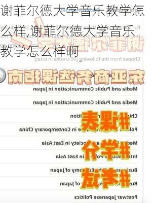 谢菲尔德大学音乐教学怎么样,谢菲尔德大学音乐教学怎么样啊