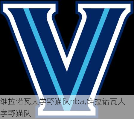 维拉诺瓦大学野猫队nba,维拉诺瓦大学野猫队