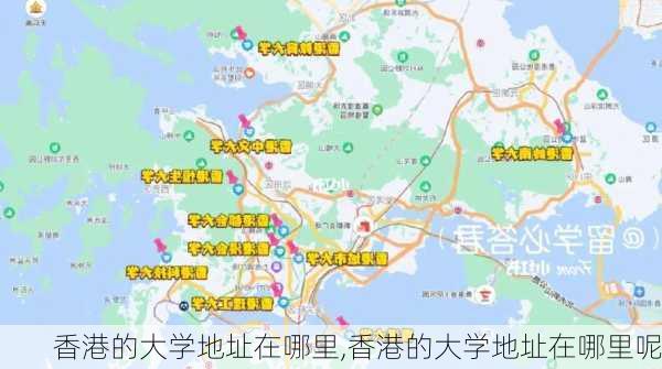 香港的大学地址在哪里,香港的大学地址在哪里呢