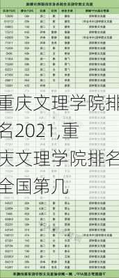 重庆文理学院排名2021,重庆文理学院排名全国第几