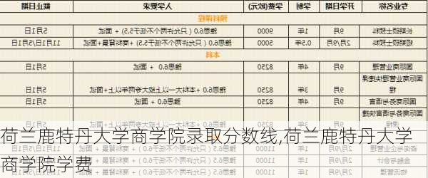 荷兰鹿特丹大学商学院录取分数线,荷兰鹿特丹大学商学院学费