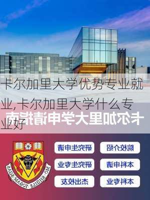 卡尔加里大学优势专业就业,卡尔加里大学什么专业好