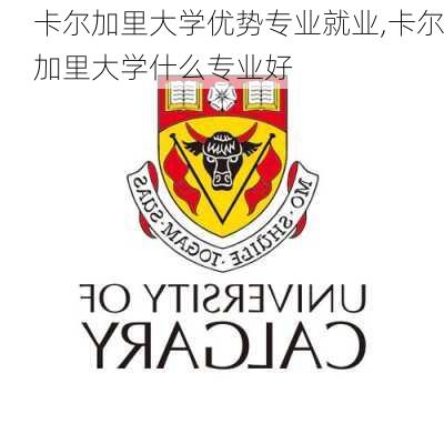 卡尔加里大学优势专业就业,卡尔加里大学什么专业好