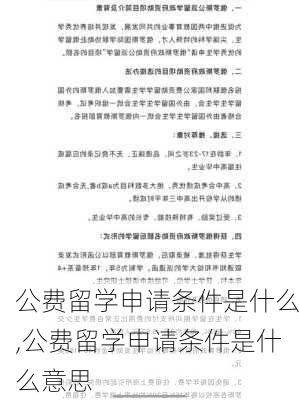 公费留学申请条件是什么,公费留学申请条件是什么意思