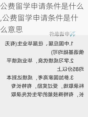 公费留学申请条件是什么,公费留学申请条件是什么意思