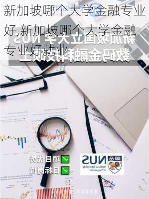 新加坡哪个大学金融专业好,新加坡哪个大学金融专业好就业