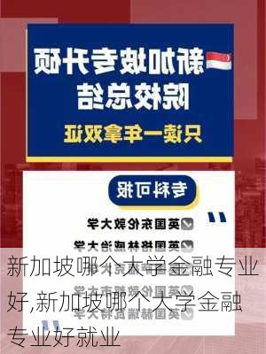 新加坡哪个大学金融专业好,新加坡哪个大学金融专业好就业