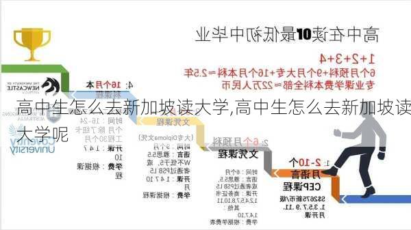 高中生怎么去新加坡读大学,高中生怎么去新加坡读大学呢