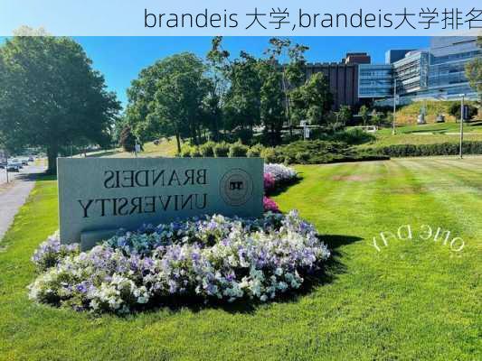 brandeis 大学,brandeis大学排名