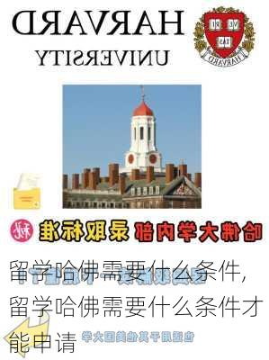 留学哈佛需要什么条件,留学哈佛需要什么条件才能申请