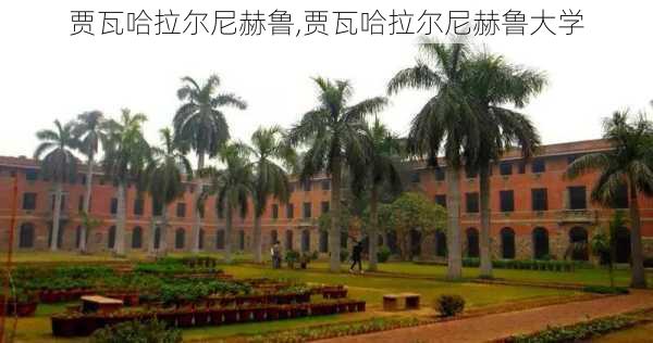 贾瓦哈拉尔尼赫鲁,贾瓦哈拉尔尼赫鲁大学