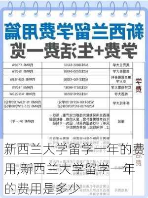 新西兰大学留学一年的费用,新西兰大学留学一年的费用是多少