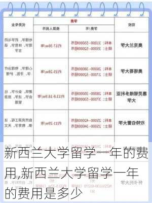 新西兰大学留学一年的费用,新西兰大学留学一年的费用是多少