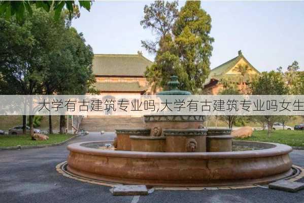 大学有古建筑专业吗,大学有古建筑专业吗女生