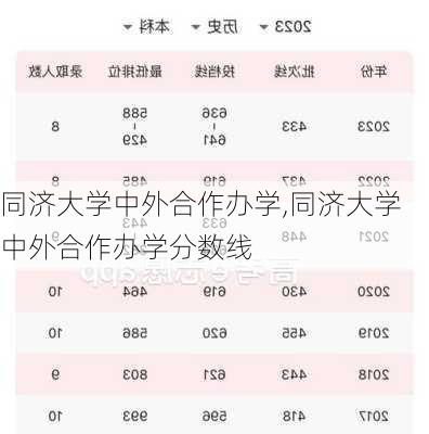 同济大学中外合作办学,同济大学中外合作办学分数线