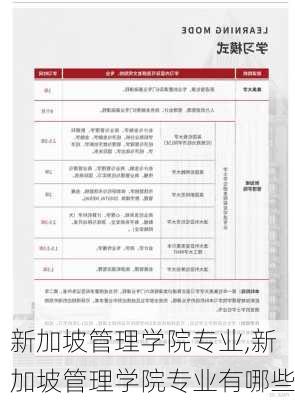 新加坡管理学院专业,新加坡管理学院专业有哪些