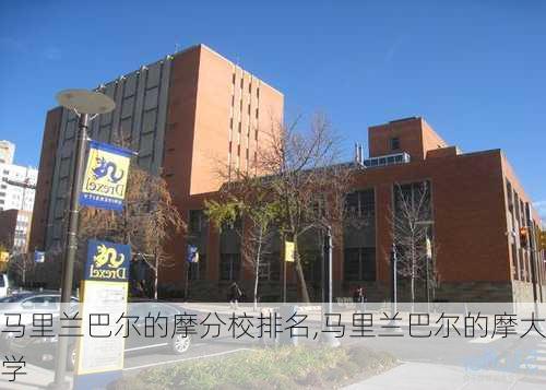 马里兰巴尔的摩分校排名,马里兰巴尔的摩大学