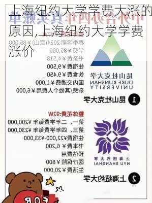 上海纽约大学学费大涨的原因,上海纽约大学学费涨价