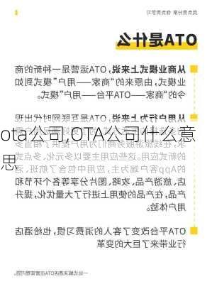 ota公司,OTA公司什么意思