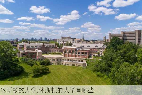 休斯顿的大学,休斯顿的大学有哪些