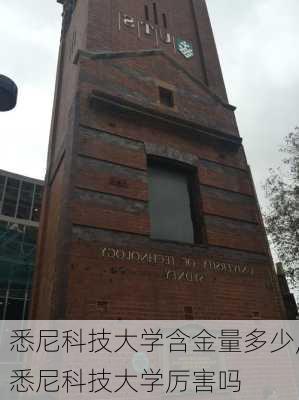 悉尼科技大学含金量多少,悉尼科技大学厉害吗