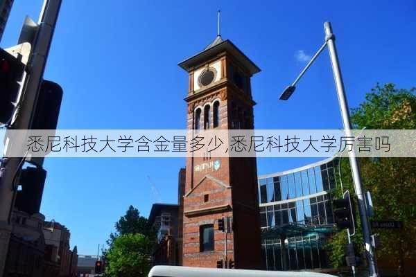 悉尼科技大学含金量多少,悉尼科技大学厉害吗