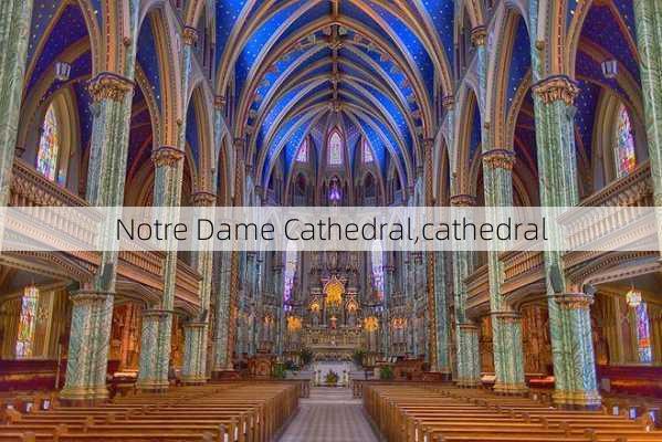 Notre Dame Cathedral,cathedral