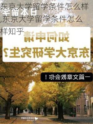 东京大学留学条件怎么样,东京大学留学条件怎么样知乎