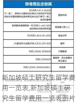 新加坡硕士研究生留学费用一览表,新加坡硕士研究生留学费用一览表图片