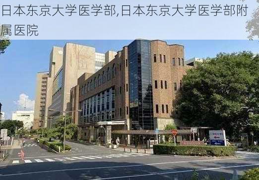 日本东京大学医学部,日本东京大学医学部附属医院