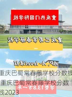 重庆巴蜀常春藤学校分数线,重庆巴蜀常春藤学校分数线2023