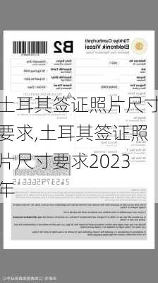 土耳其签证照片尺寸要求,土耳其签证照片尺寸要求2023年